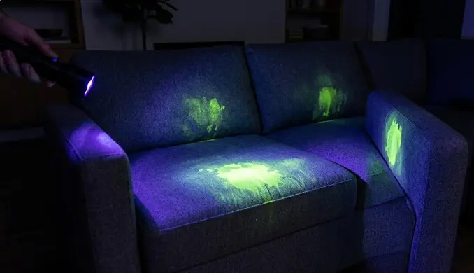 Diagram showing where cat urine penetrates into sofa layers — fabric, foam padding, and frame — UV light detection