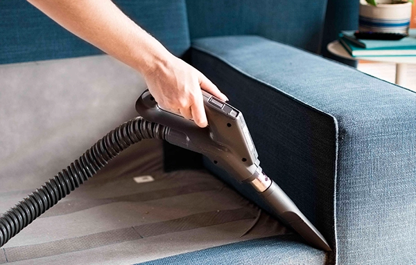 Luxury couch cleaning service in Bellevue
