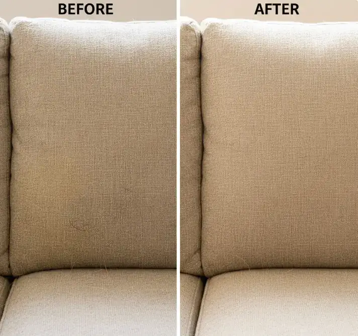 Before and after dog odor removal from upholstery