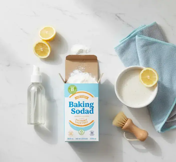 DIY methods for removing dog odor from upholstery