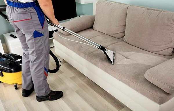 Professional furniture cleaning in Mill Creek