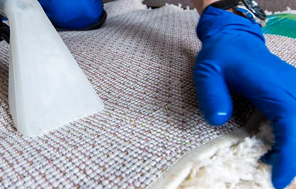 Professional rug cleaning service in Shoreline
