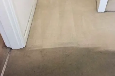 Why Is My Carpet Wet After Cleaning? Expert Solutions from Seattle