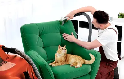 Sammamish Chair Cleaning: Where Luxury Meets Lake Life