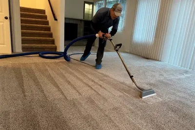 Professional Furniture Cleaning Everett