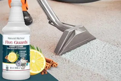 Non-Toxic Carpet Shampoo Guide