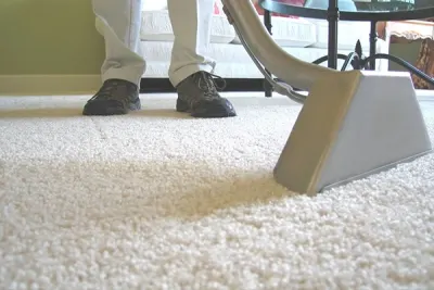 Professional Rug Cleaning in Bothell: Where Innovation Meets Heritage Preservation