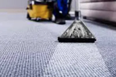 Expert Rug Cleaning in Edmonds: Where Coastal Heritage Meets Professional Innovation