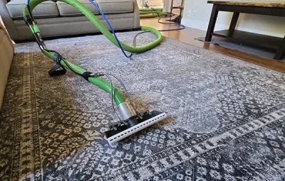 Professional Rug Cleaning in Everett: Maritime Heritage Meets Expert Care