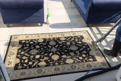 Expert Rug Cleaning in Lynnwood: Restore Your Floor's Beauty and Freshness