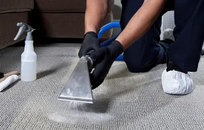 Sammamish Rug Cleaning: Plateau Excellence Meets Advanced Care Technology