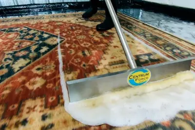 Rug Cleaning in Snohomish: Heritage Care for Classic Homes