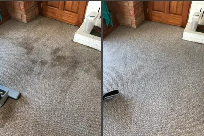 Seattle's Carpet Cleaning Services: A Comprehensive Comparison