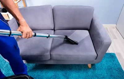 Mill Creek's Sofa Symphony: Where Nature Meets Luxury Living